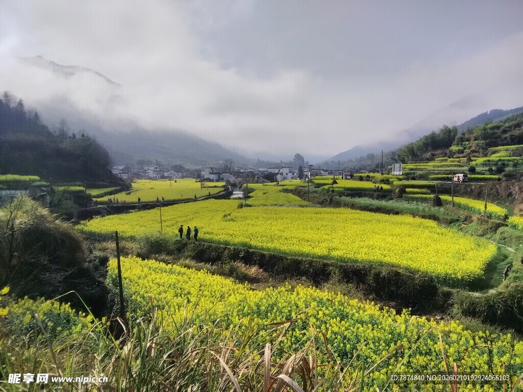 婺源山间油菜田美景