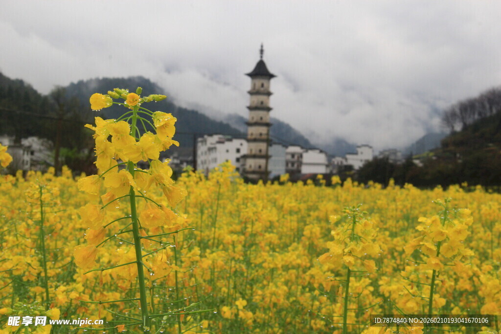 婺源油菜花海中的古塔风景