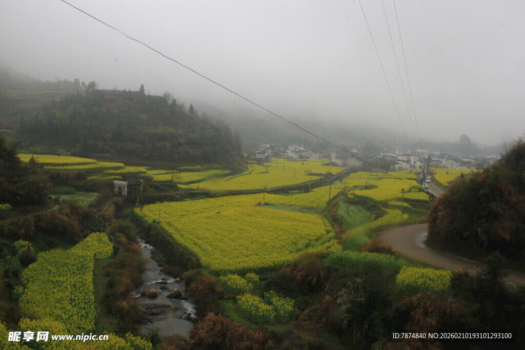 婺源雾中油菜田的田园美景