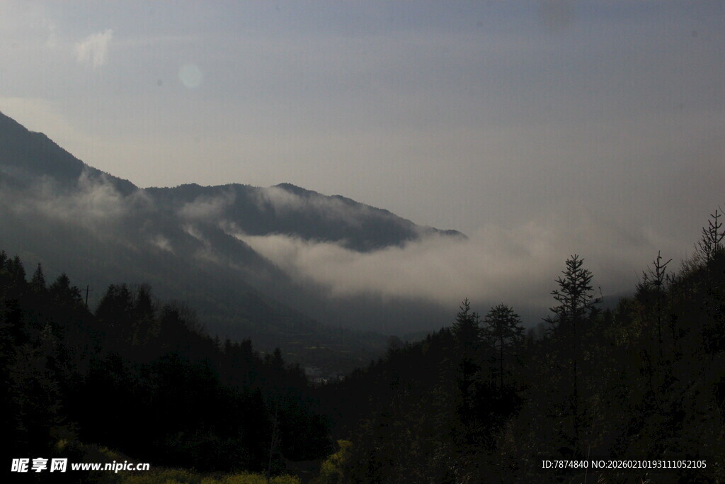 婺源山间云雾缭绕的森林美景