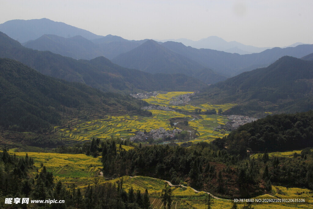 婺源山间油菜田的美丽景致