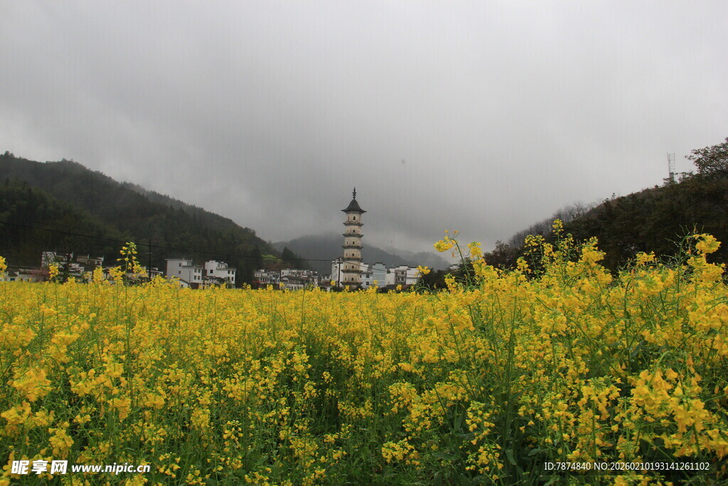 婺源油菜花海中的远方建筑