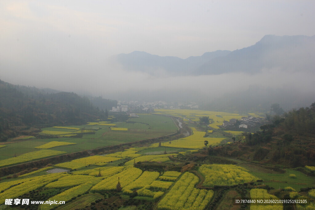 婺源山间油菜花海 云雾缭绕