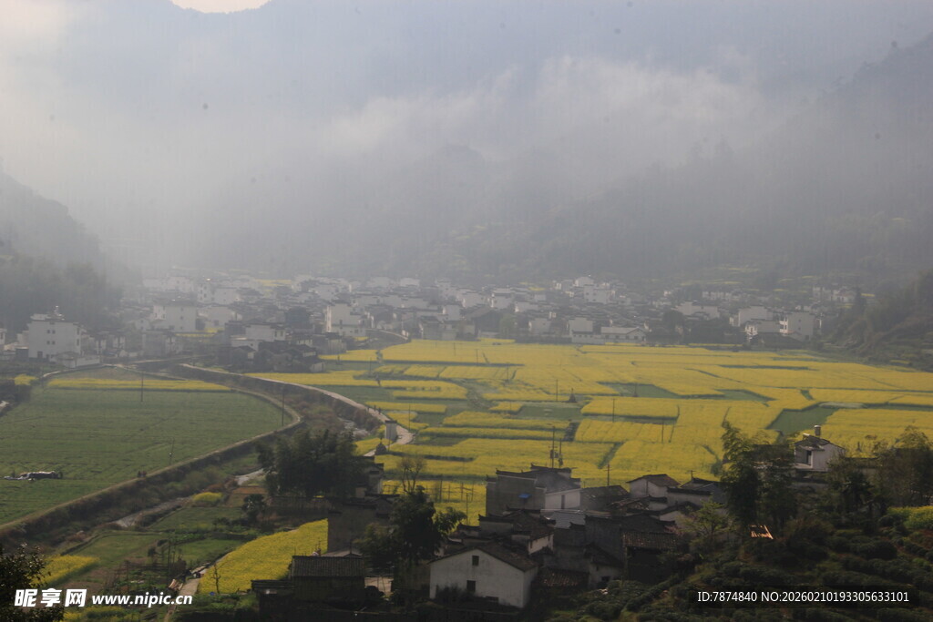 婺源山间油菜花海田园美景