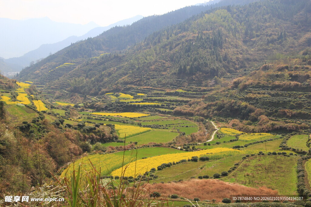 婺源山间梯田美景