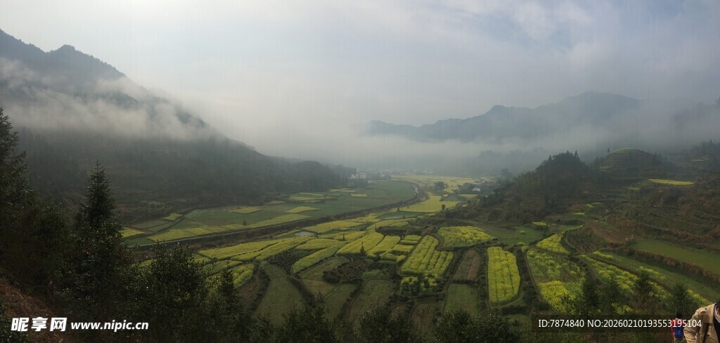 婺源山间梯田美景
