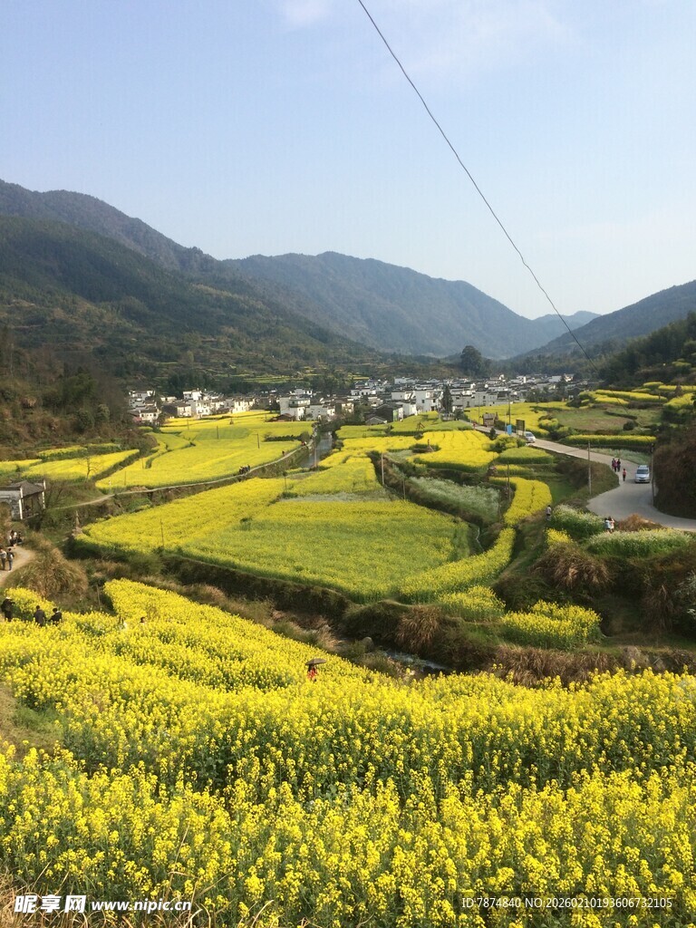 婺源春日山间油菜花海美景