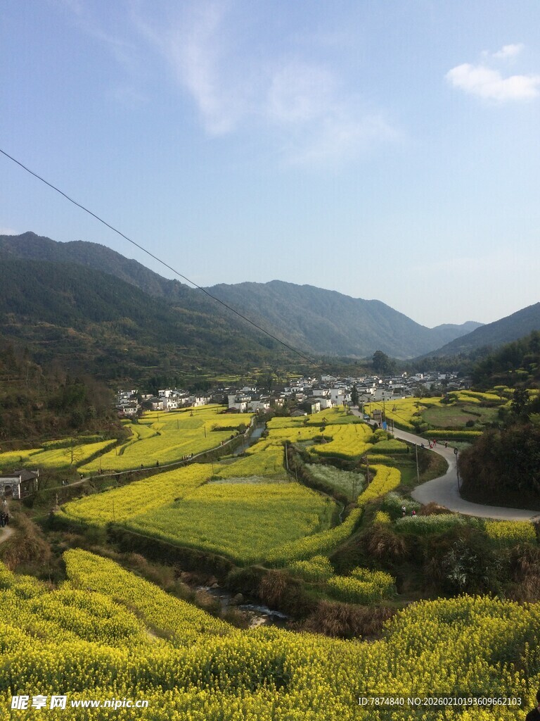 婺源春日山间油菜花海美景