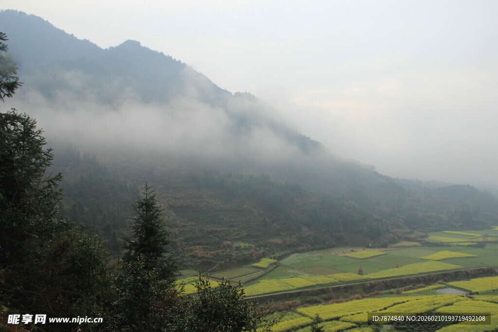 婺源山间云雾下的金黄田园风光