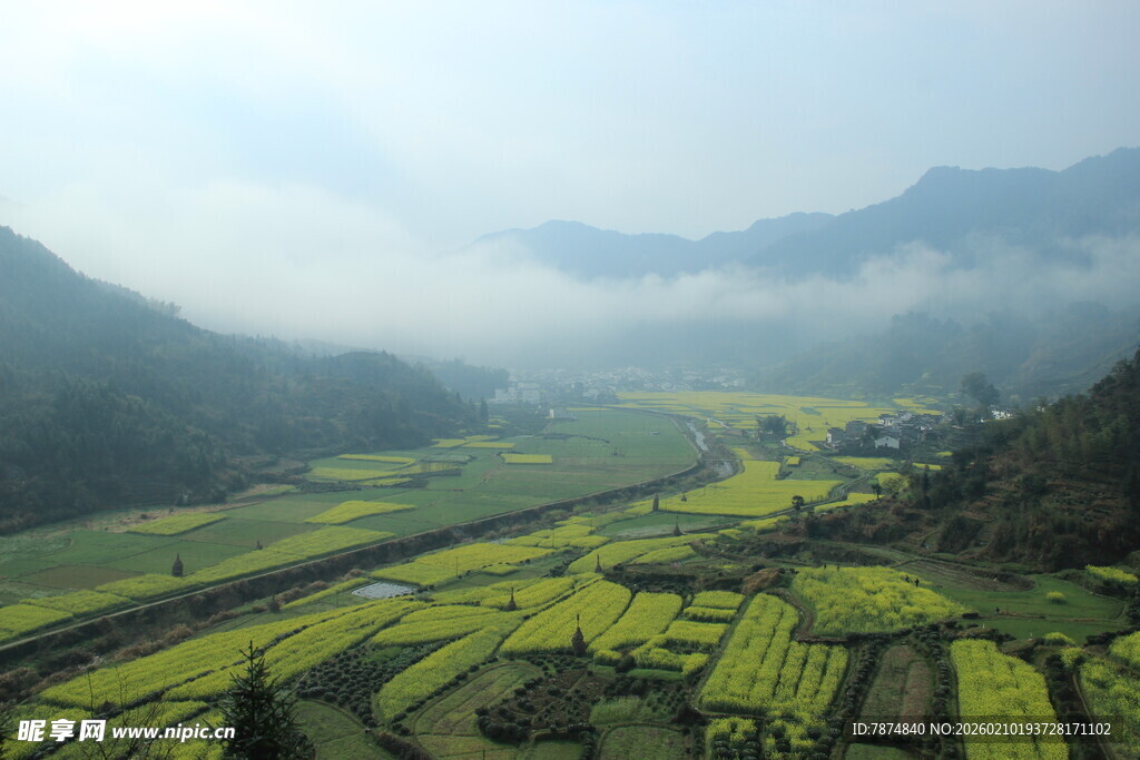 婺源山间梯田美景