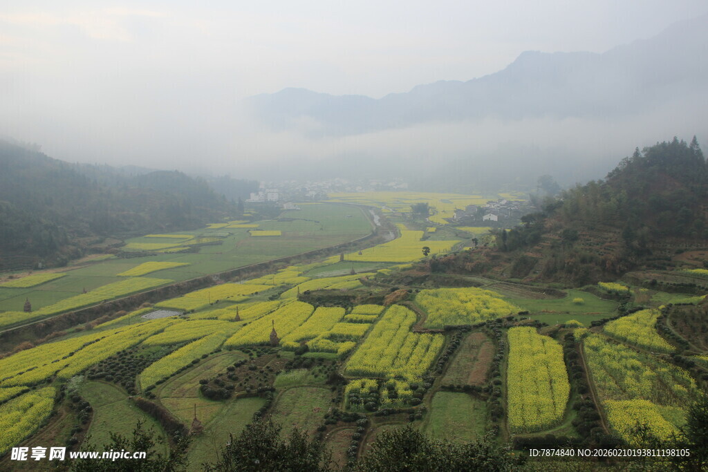 婺源山间梯田油菜花海美景
