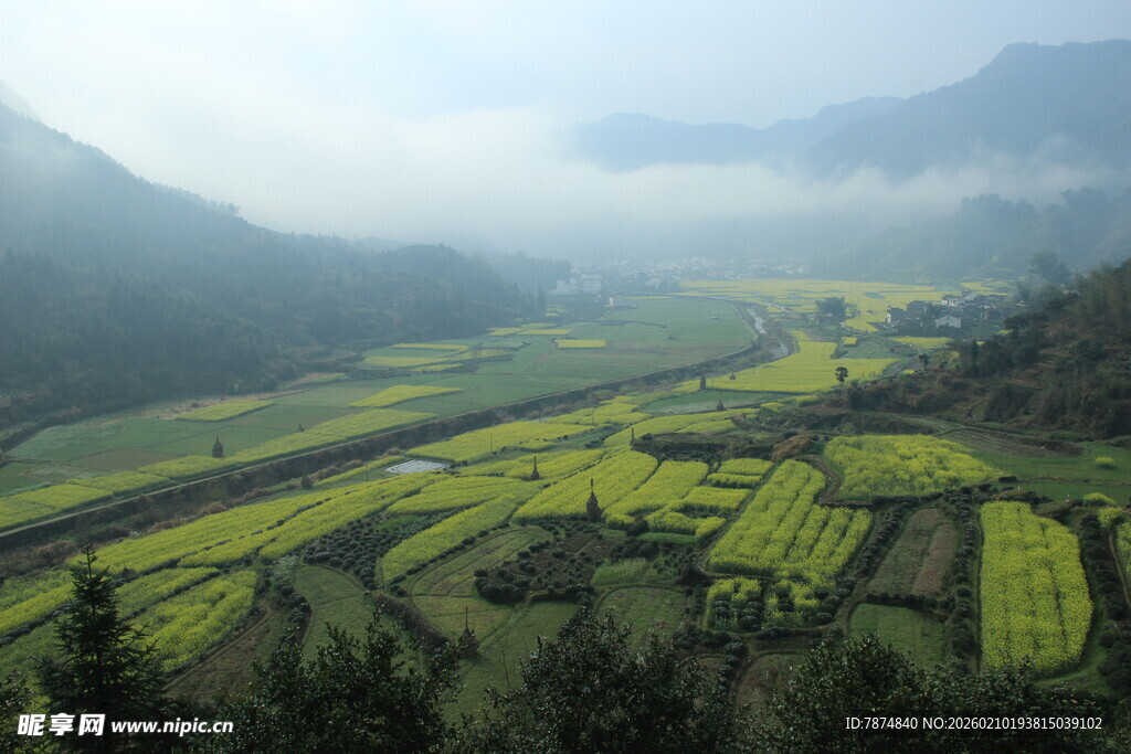 婺源山间梯田美景