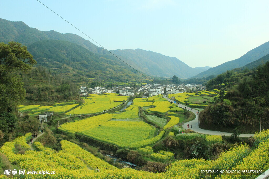 婺源山间梯田油菜花美景