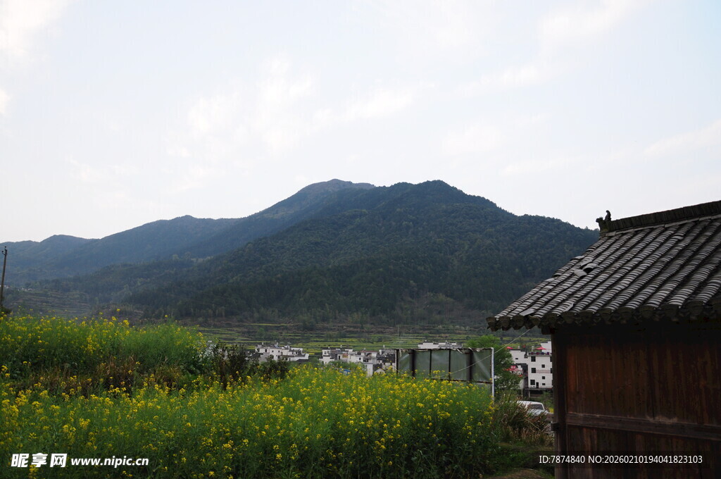 婺源乡村山野小屋田园风光