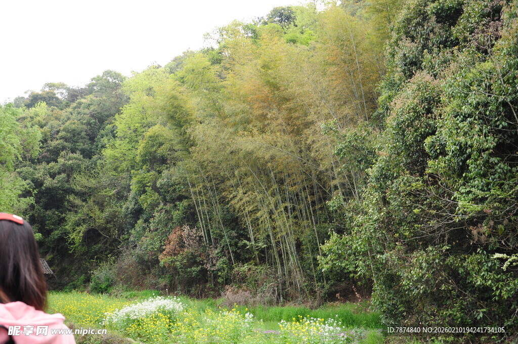 婺源漫步绿意盎然的林间小道