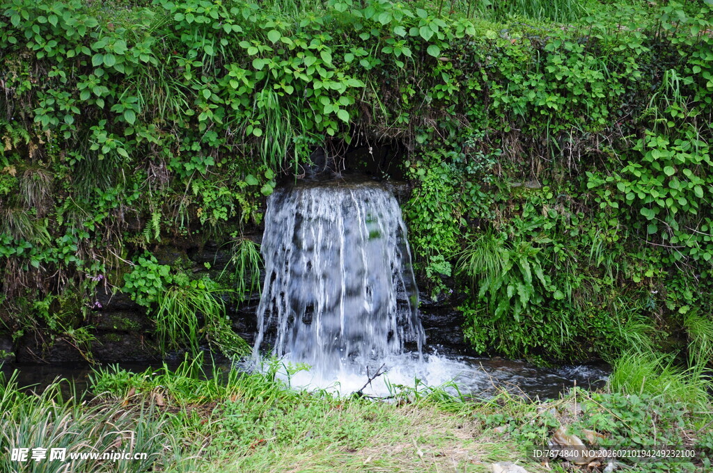婺源山间小瀑布 绿意环绕
