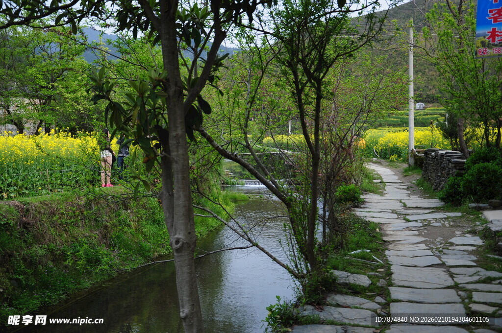 婺源乡间溪边小径 春日美景