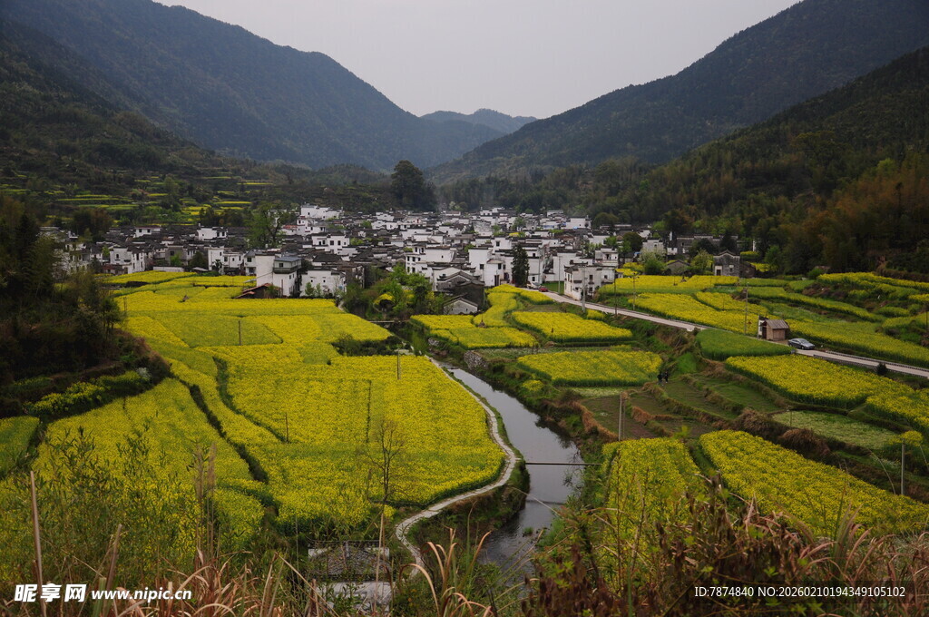 婺源山间田园美景 金黄油菜花田