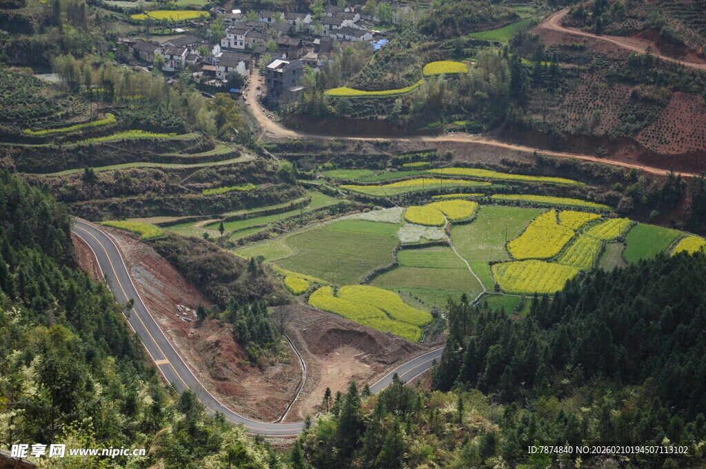婺源山间梯田美景
