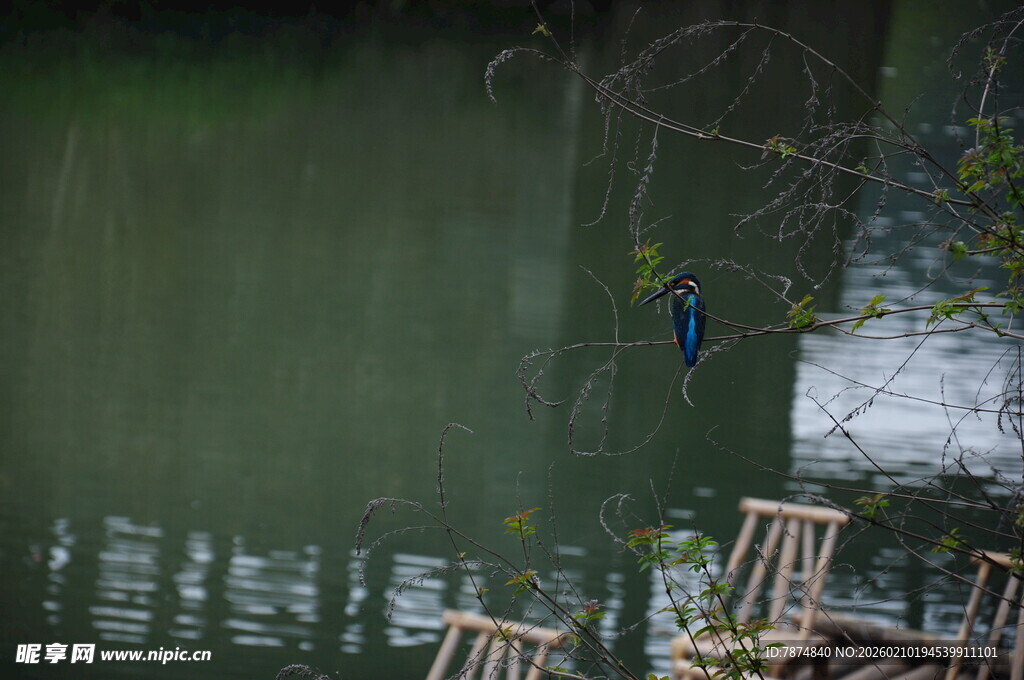 婺源湖畔木椅 静谧自然景致