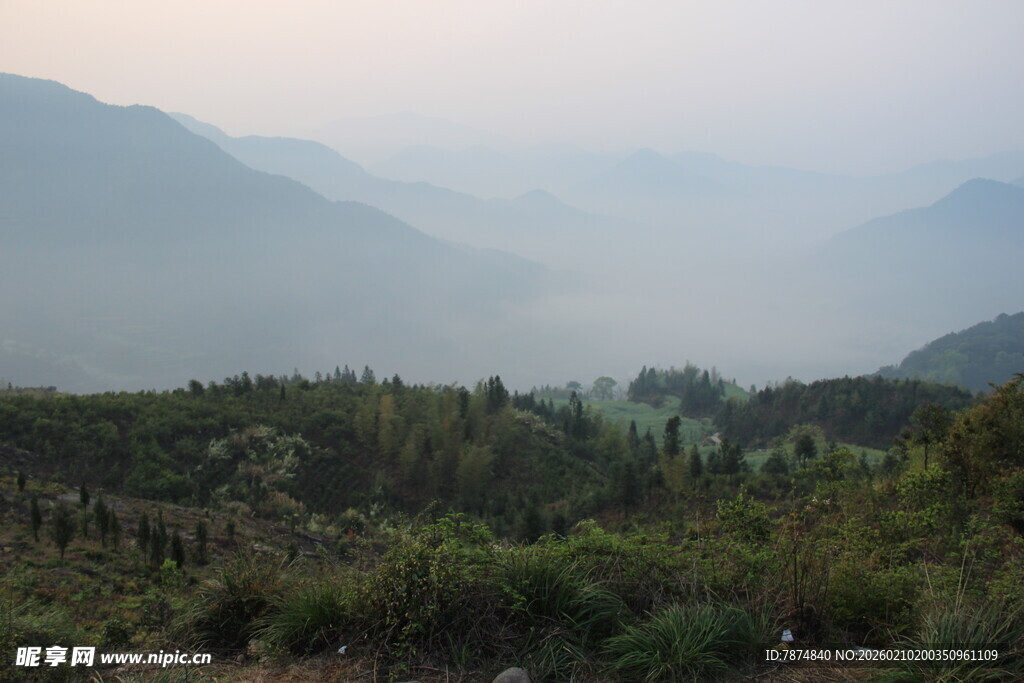 婺源山间晨景 绿意盎然
