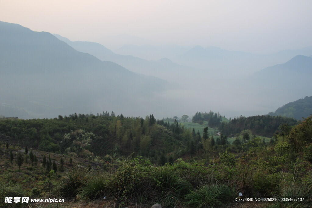 婺源山间晨景 绿意盎然