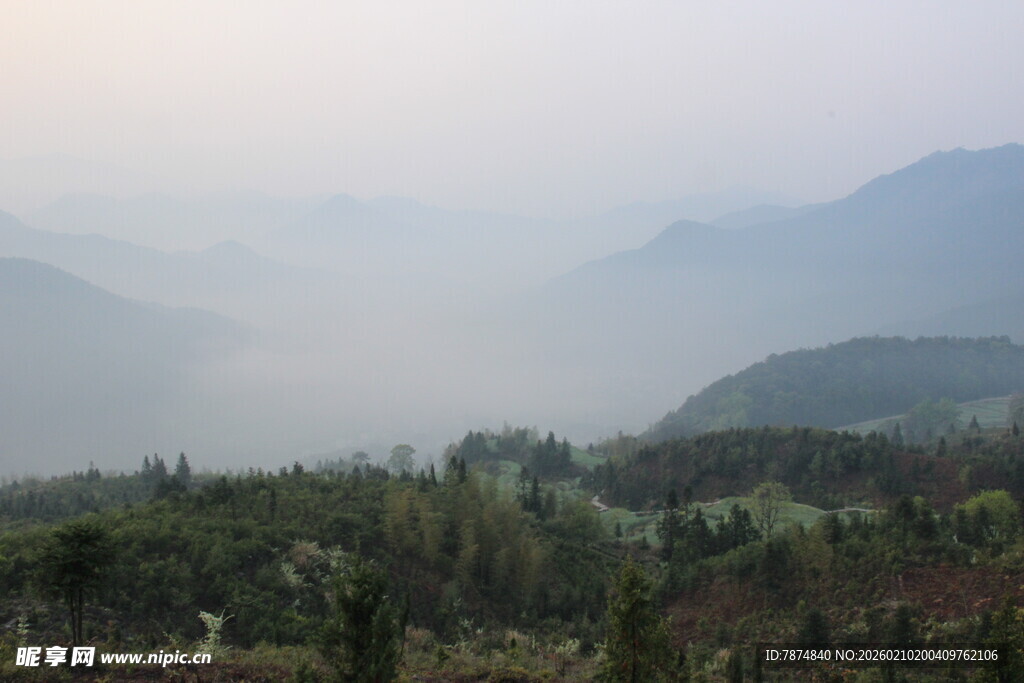 婺源山间晨雾中的葱郁景致
