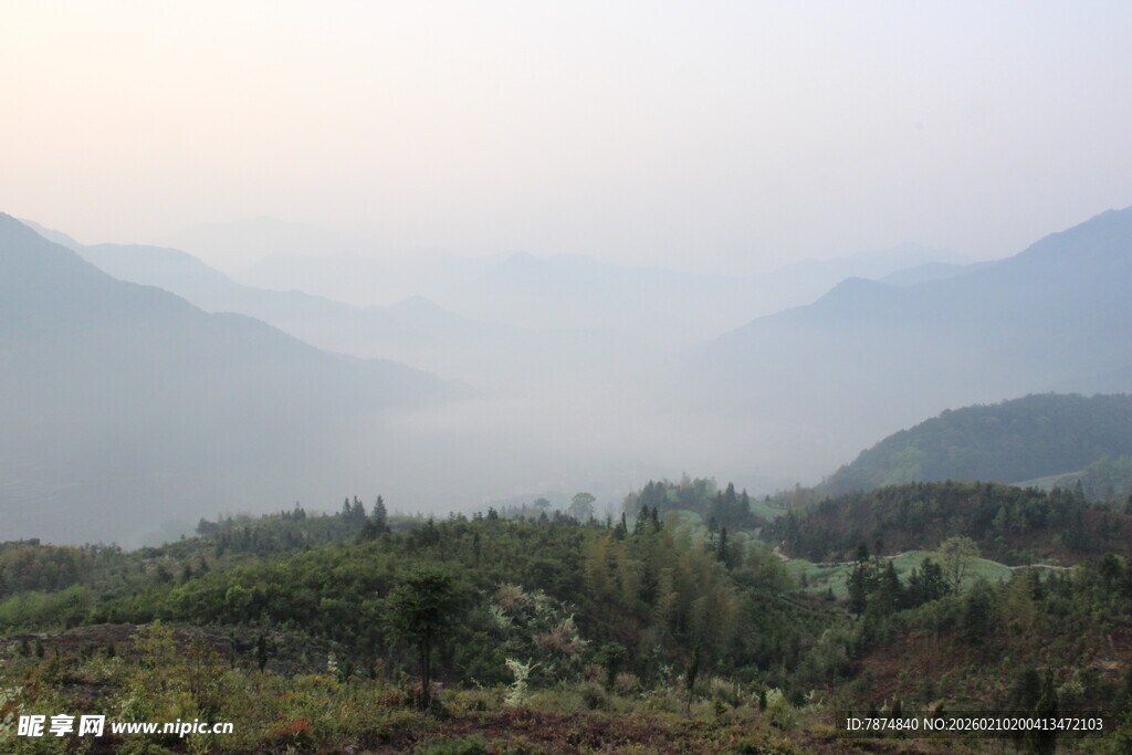 婺源山间晨雾中的葱郁景致
