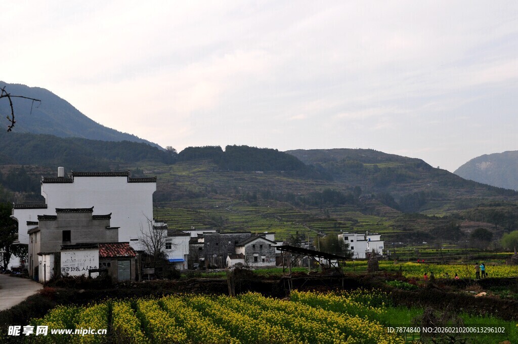 婺源乡村田园风光美景