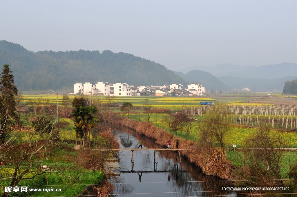 婺源乡村田园小河畔美丽风光