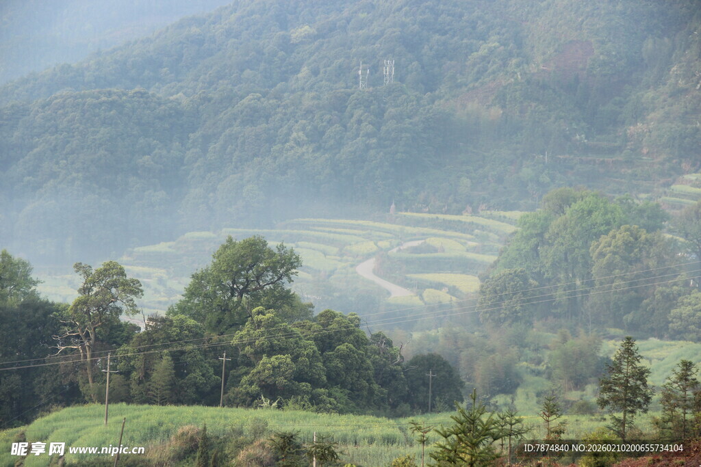 婺源山间雾绕梯田美景