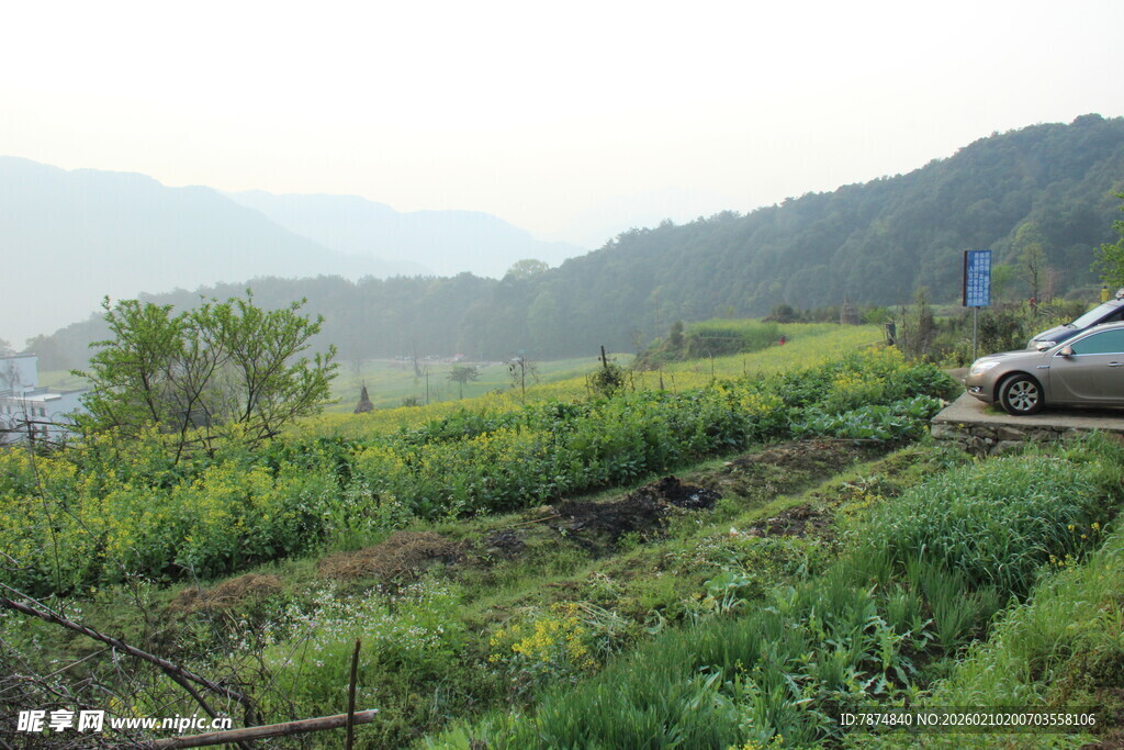 婺源山间田野风光 车辆停靠处