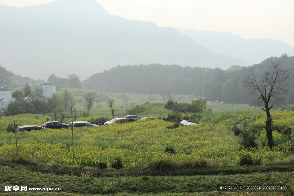 婺源山间绿野田园风光美景