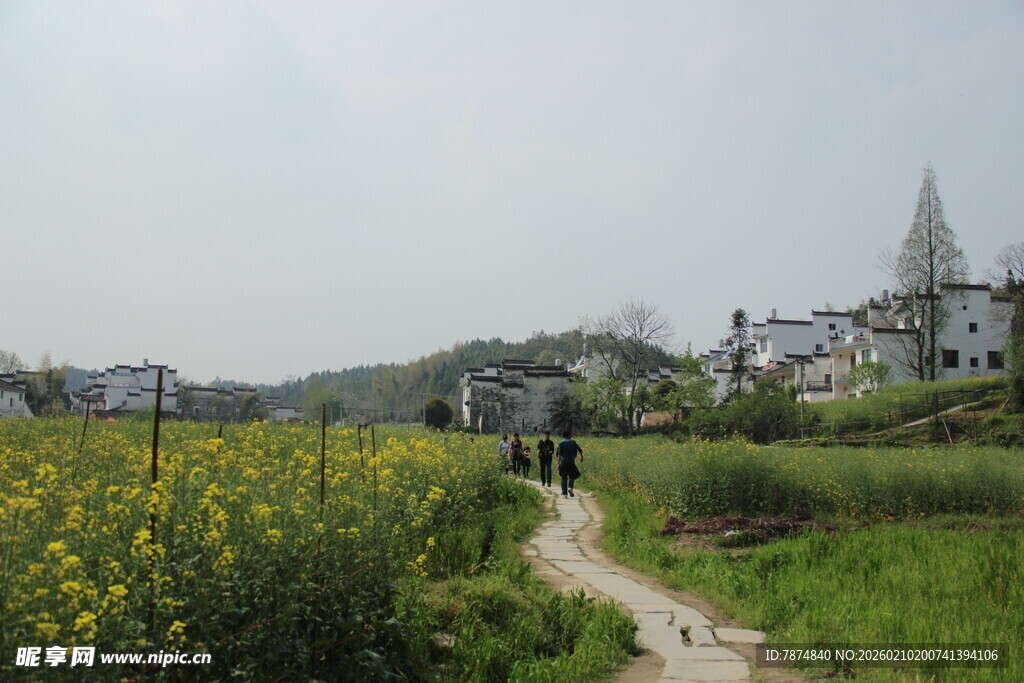 婺源乡村田野间的美丽景致