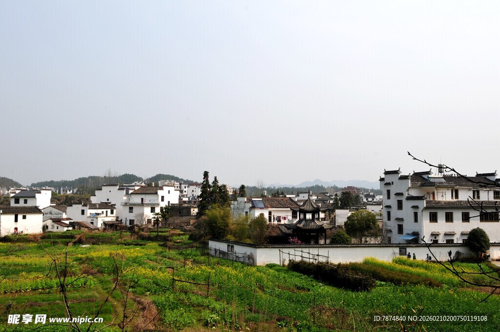 婺源乡村田园风光 白墙黑瓦民居