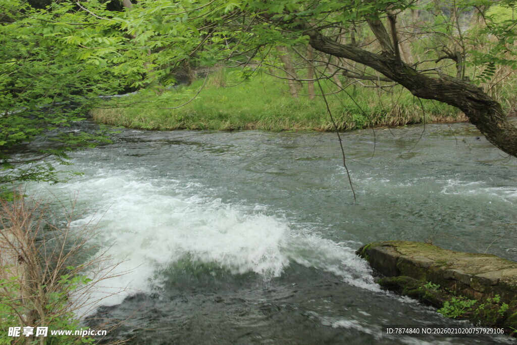 婺源山间溪流潺潺 绿意环绕