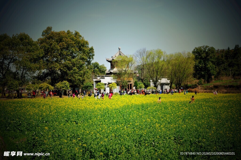 婺源田园风光中的惬意乡村景象