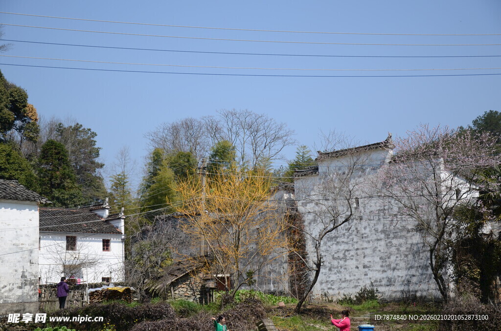 婺源乡村春日景致 游人漫步