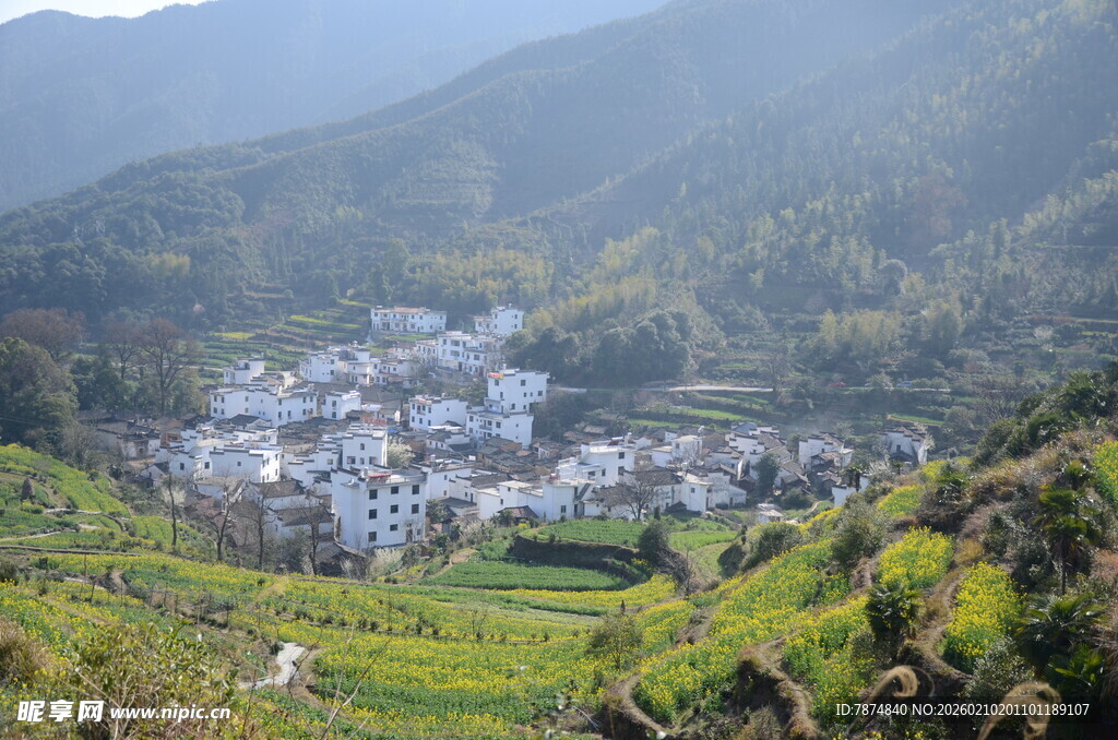 婺源山间村落景 绿野伴白屋