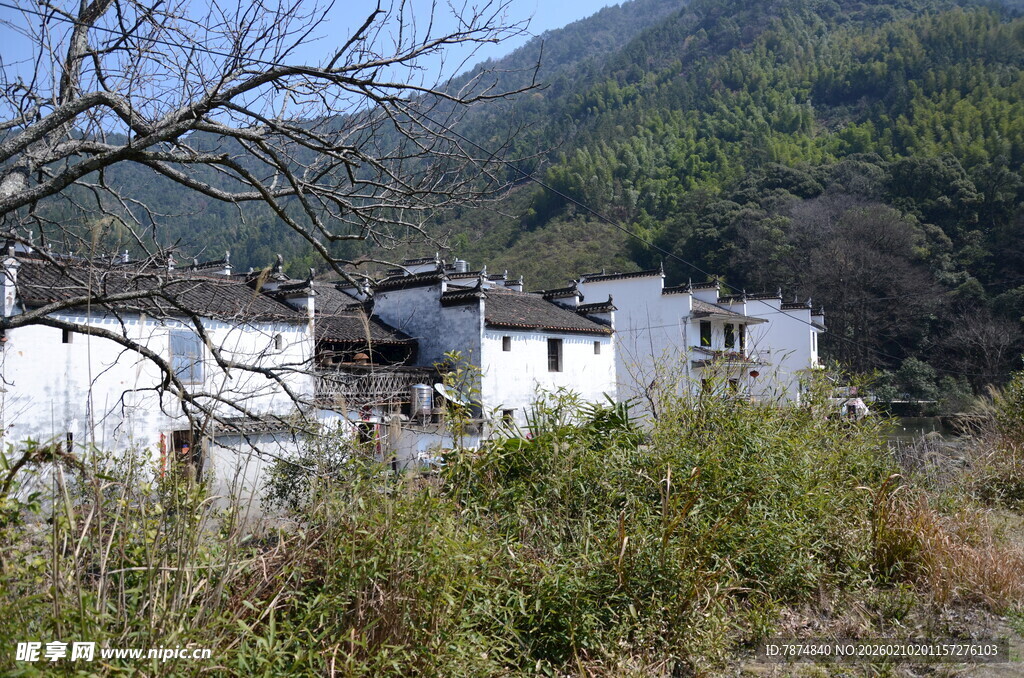 婺源山村白墙屋 隐于草木间