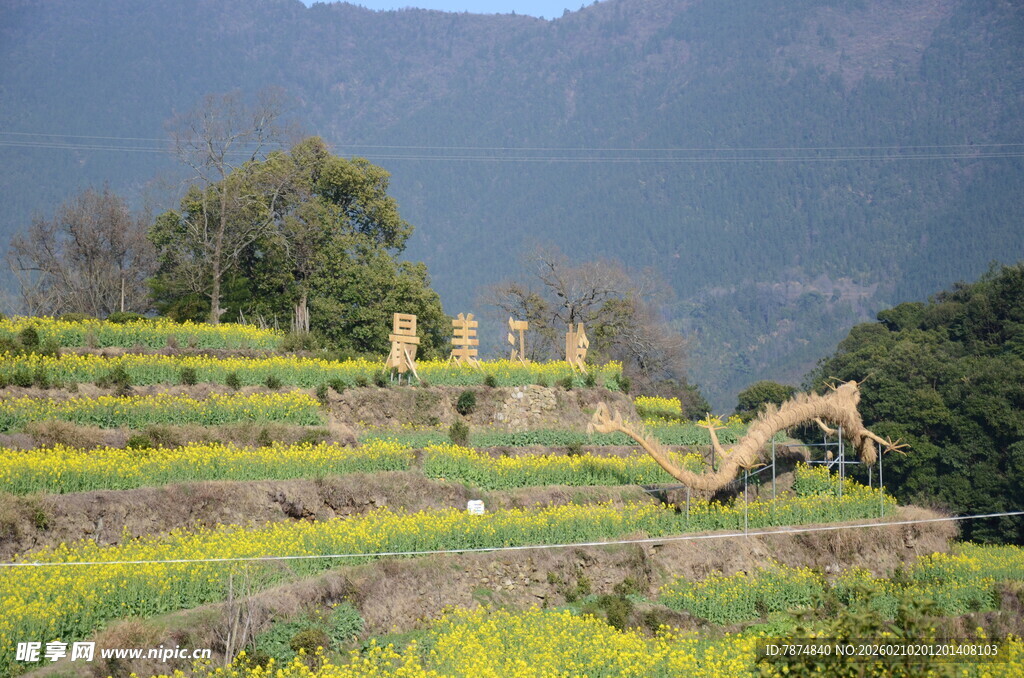 婺源梯田美景与远山相映成趣