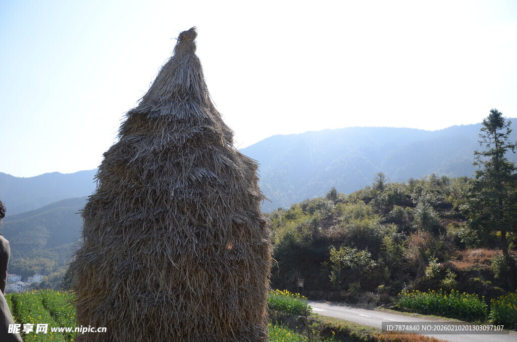 婺源乡村路边的锥形干草垛