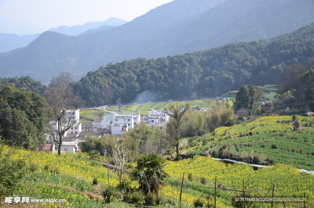 婺源山间田园美景