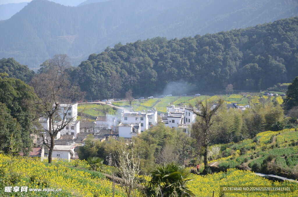 婺源山村田园美景