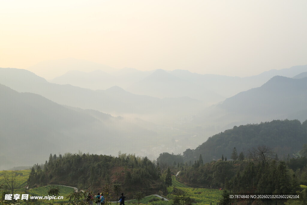 婺源山间晨景 绿意盎然的自然美