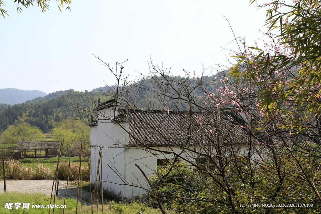 婺源乡村小屋春色