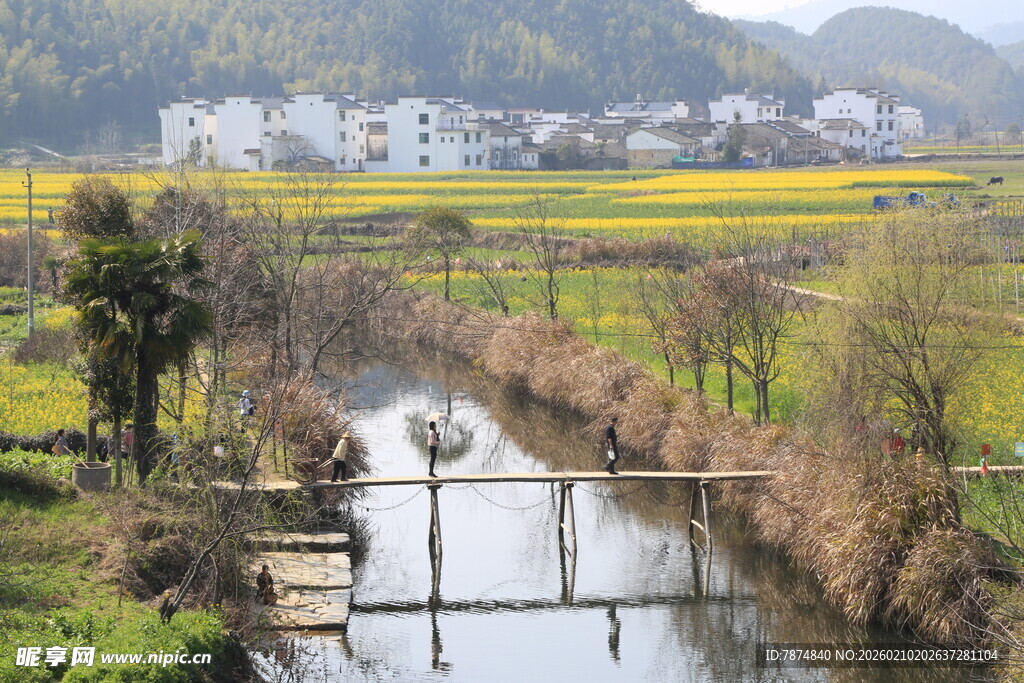 婺源乡村河畔春日田园风光