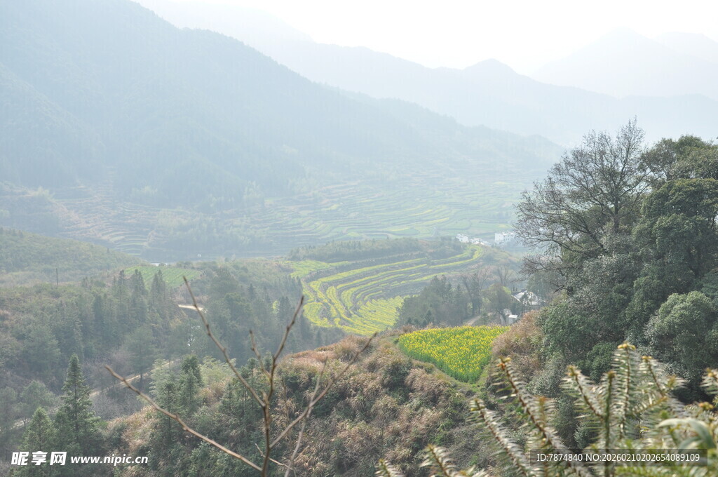 婺源山间绿野风光