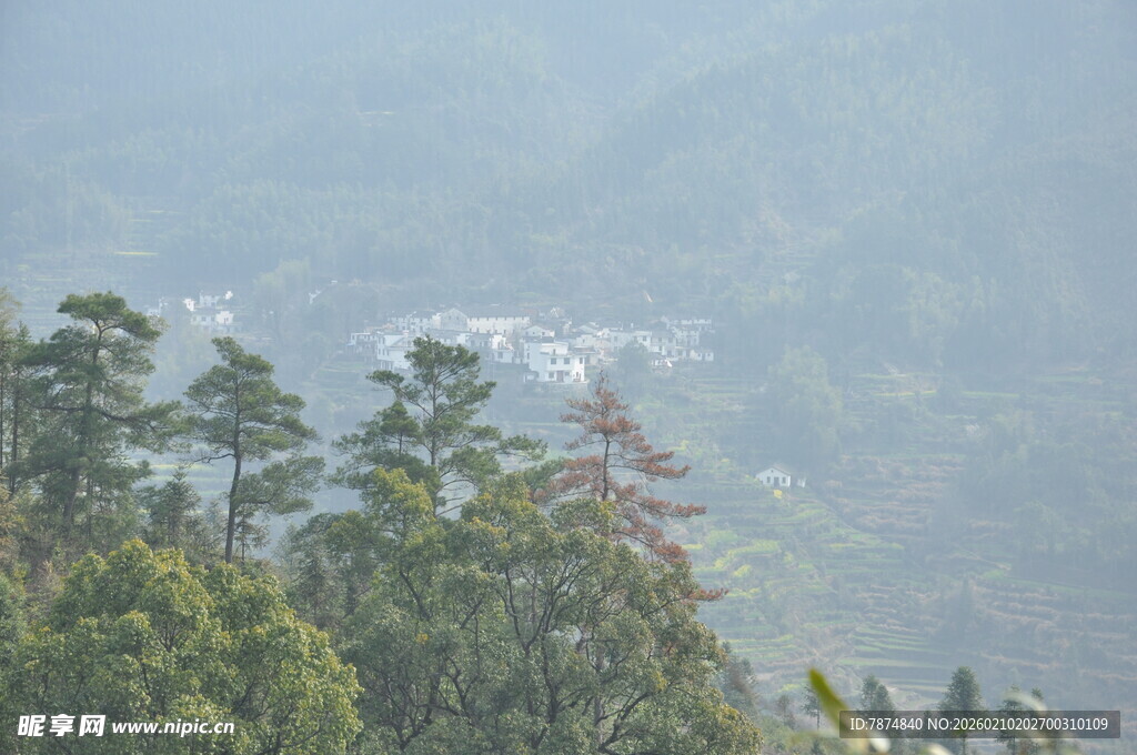 婺源山林间朦胧景色