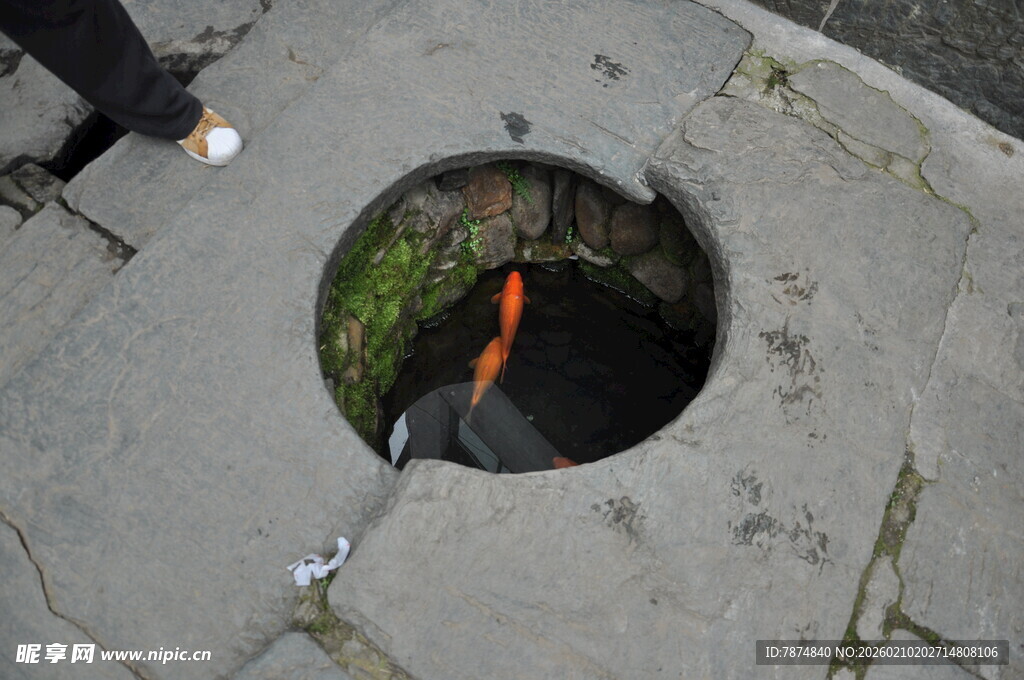 婺源井口现橙色物体